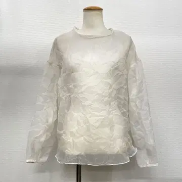 JEANASIS 지나시스 시어 블라우스