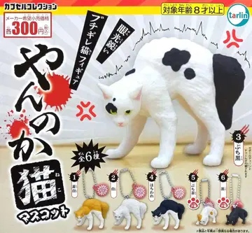 야옹 고양이 마스코트