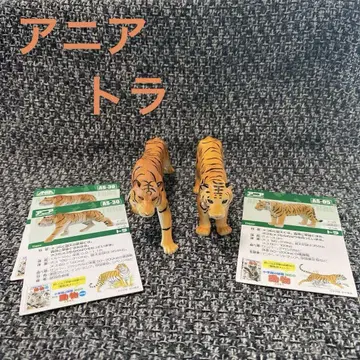 [ 아니아 ] [ 호랑이 ] [ 묶음 판매 ]