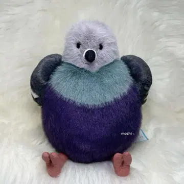 jellycat Leicester Pigeon 비둘기 새 봉제 인형