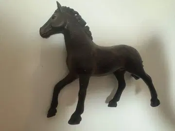 슐라이히 말