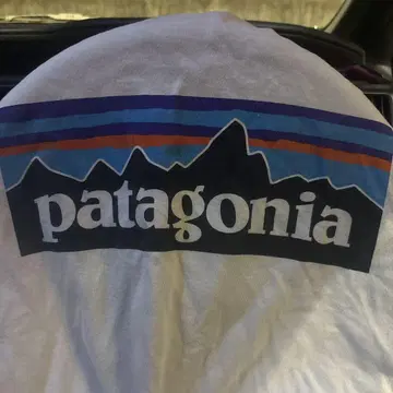 patagonia 오가닉 코튼 T셔츠 L 사이즈