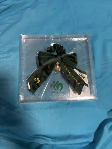 Mrs. GREEN APPLE 라이브 스틱 리본