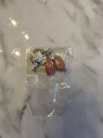 장기 키링 (폐)
