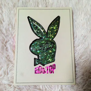 BIGBANG GD & TOP THE FIRST ALBUM CD+DVD