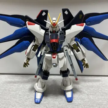 HG SEED 스트라이크 프리덤