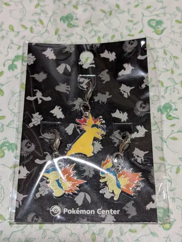 포켓몬 메탈 참 히노아라시 마그마라시 바쿠훈