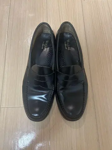 G.h bass 코인 로퍼