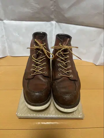REDWING 아이리쉬 세터 브라운