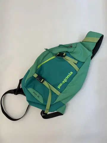 patagonia Atom 8L 바디백 그린
