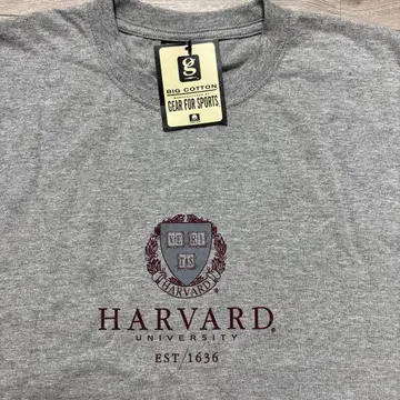 HARVARD 칼리지 기어 포 스포츠 빅 코튼 미국제 T셔츠