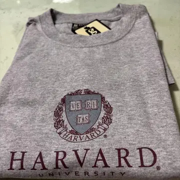 HARVARD 대학 스포츠 기어 빅 코튼 미국제 사이즈 LT 셔츠