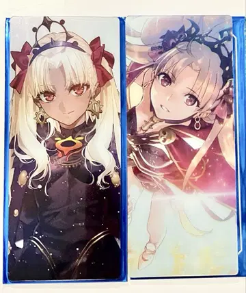 FGO 최종 재림전 편성 화면풍 카드 엘레쉬키갈 2종