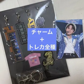 TravisJapan vllsual 참 트레이딩 카드 전종