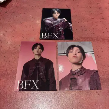 호리 나츠키 BFX 트레이딩 카드