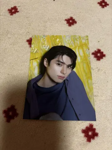 혼다 히비키야 프로마이드