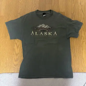 ALASKA 다크 그린 티셔츠 100% 코튼