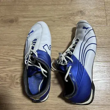 00s Puma future cat speed cat 27.5