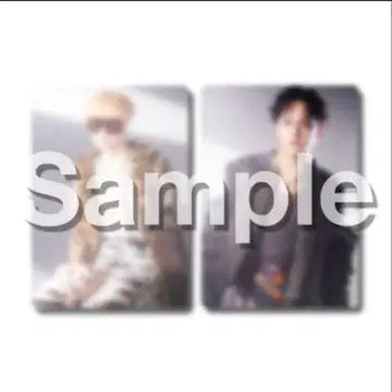 BMSG FES'25 포토 카드 Aile The Shota/KANON