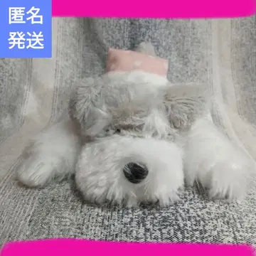슈나와 밥의 굿나잇 멜로디 기믹