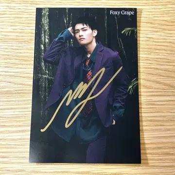 무토 준 Foxy Grape 사인 포함 엽서 3종 세트
