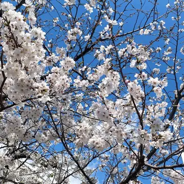 모음 상품