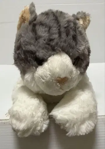 무릎 고양이 봉제 인형 M 사바시로 미사용품