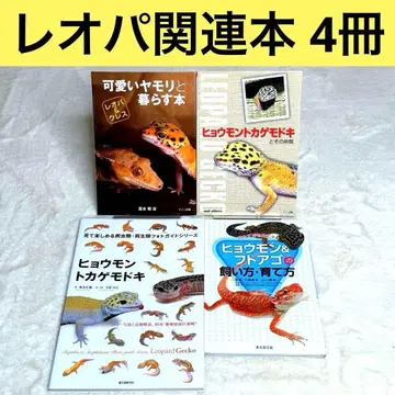 [ 4권 세트 ] 파충류 (레오파드 도마뱀) 관련 도서