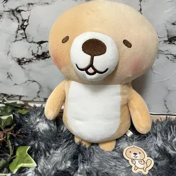 돌격! 랏코 씨 말랑말랑 BIG 봉제 인형 택 포함