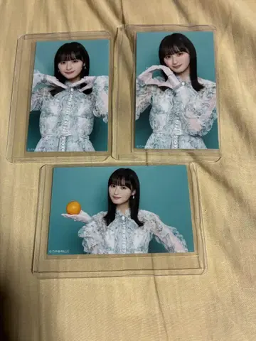 노기자카46 미니 브로마이드 네이블 오렌지 엔도 사쿠라 컴프