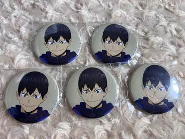 하이큐!! One fine day 캔뱃지 5점 카게야마 토비오