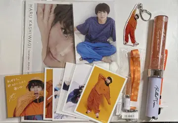 초특급 카시와기 유 세트