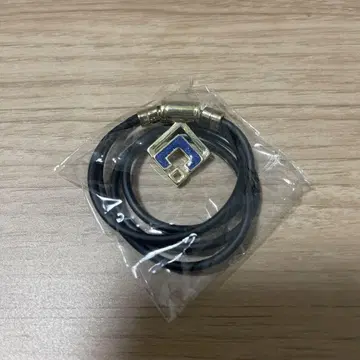 스포츠 목걸이
