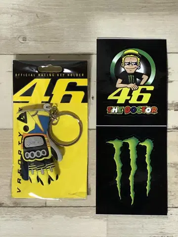 발렌티노 로시 VR46 키링 덤 포함