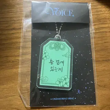 준스 VOICE 부적 키링 (한국어)