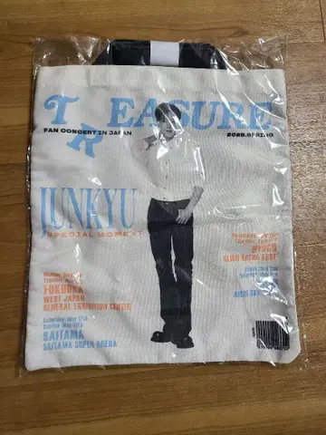 treasure 준규 토트백