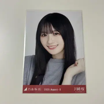 노기자카46 브로마이드 카와사키 벚꽃