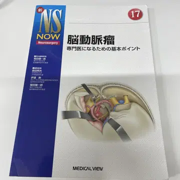 뇌동맥류 NS NOW 17