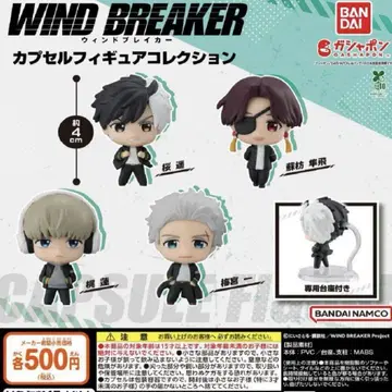 WIND BREAKER 캡슐 피규어 컬렉션
