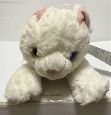 무릎 고양이 M 봉제 인형 오드아이 WH 미사용품