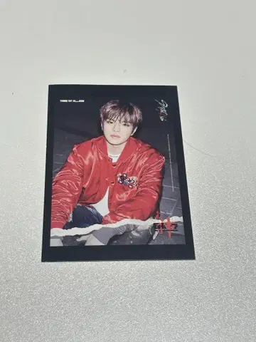 Stray Kids 스키즈 승민 GO 타워 레코드 혜택