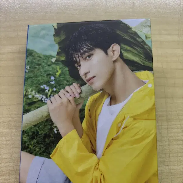 세븐틴 도겸