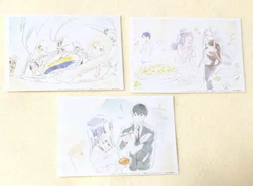fate 에미고 브로마이드 에미야 씨네 오늘의 밥