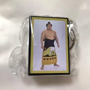 스모 가챠 아케니키 키링 와카모토하루