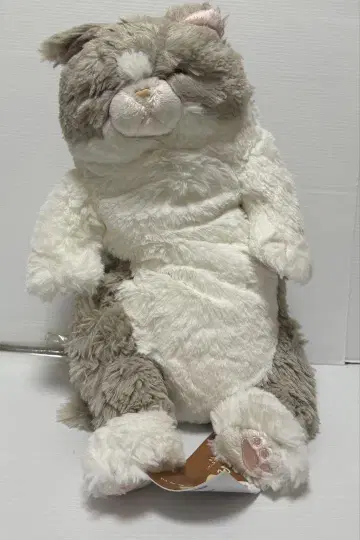무릎 고양이 쌔근쌔근 봉제 인형 GY 미사용품