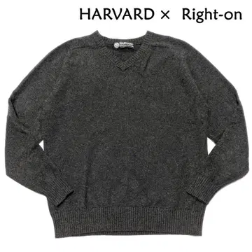 HARVARD Right-on 캐시미어 100% V넥 스웨터 L