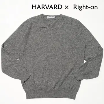 HARVARD Right-on 캐시미어 100% V넥 스웨터 그레이 L