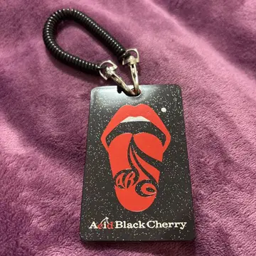 Acid Black Cherry 패스 케이스