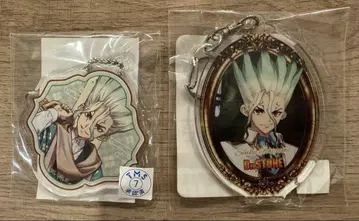 Dr.STONE 마루쿠지 최애 복권 이시가미 센쿠