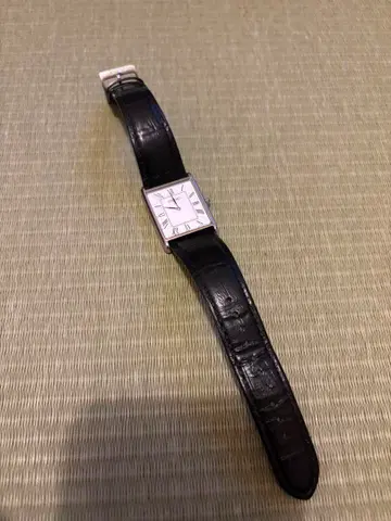 세이코 아날로그 손목시계 swr049